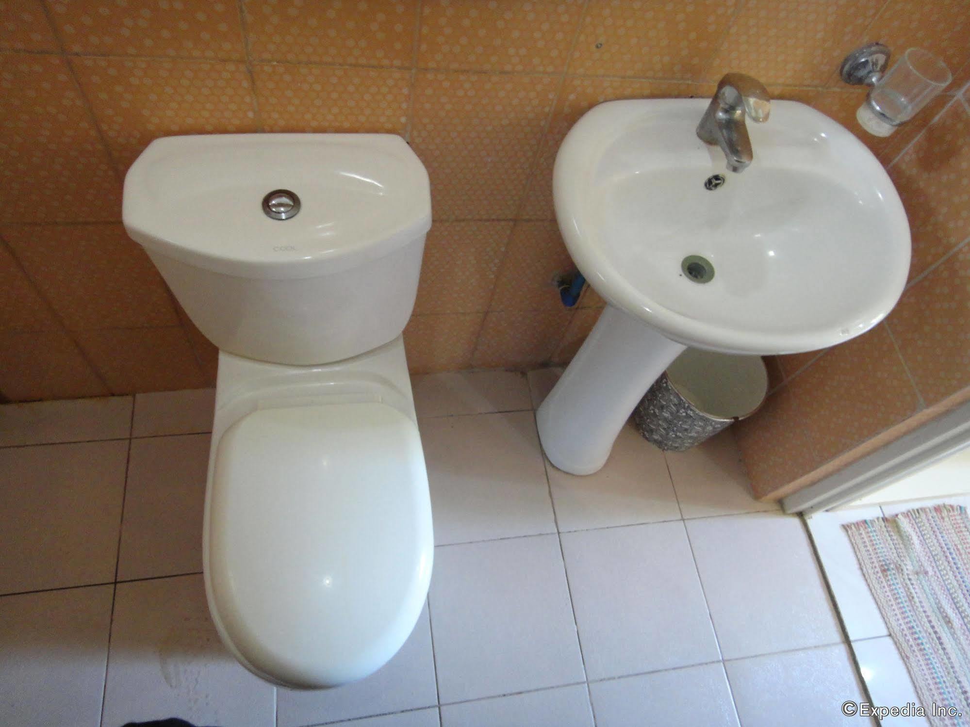 Balai Felicisima Bed & Breakfast Puerto Princesa Dış mekan fotoğraf